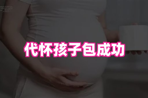 swisee孕网 4